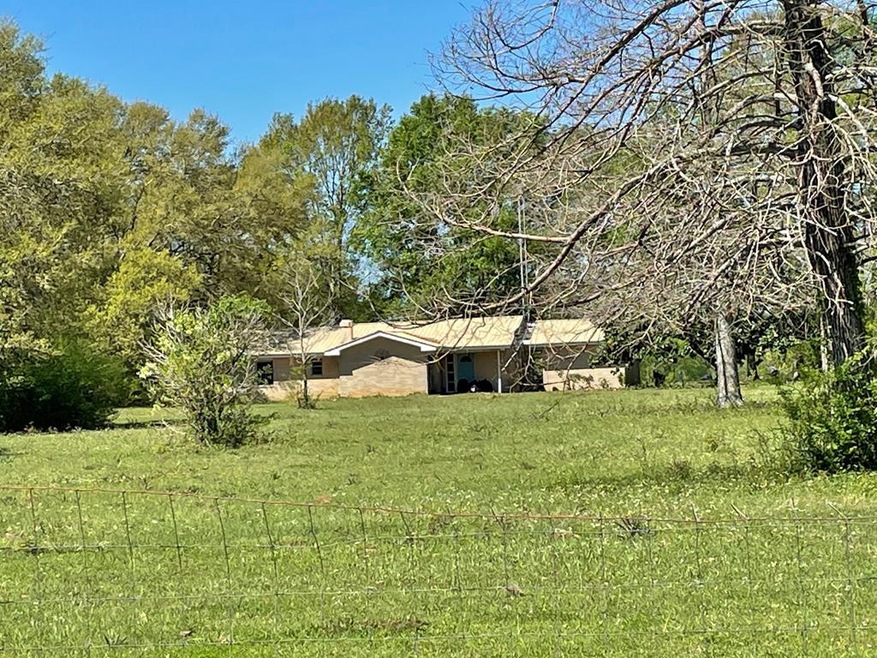 40 Mesa Rd, Tylertown, MS 39667 - photo 1