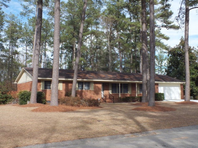 Main View