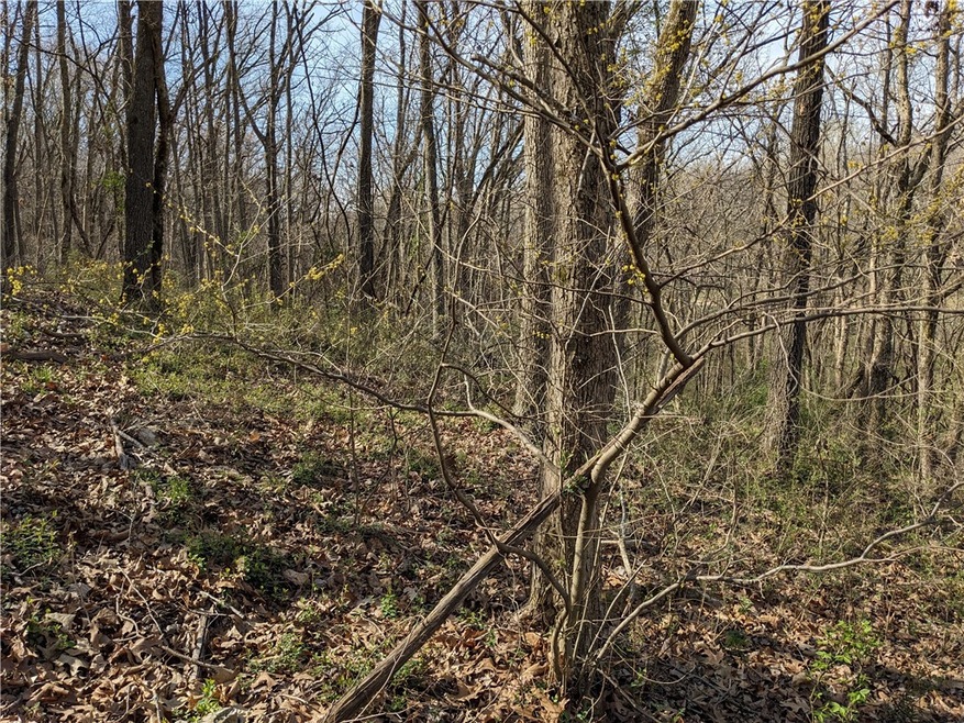 TBD Morley Dr, Bella Vista, AR 72714 - photo 1