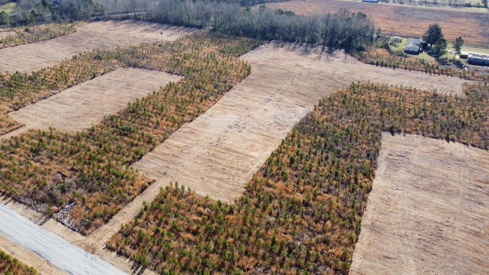 4 S Carolina 6, Cross, SC 29436 - photo 1