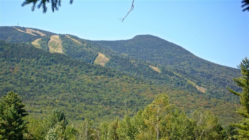 5 Golden Heights Rd unit 36.3, Waterville Valley, NH 03215 - photo 1