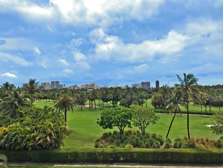 Golf Course View from LR DR Library