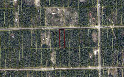 0 284 Terrace unit 92288, Branford, FL 32008 - photo 1