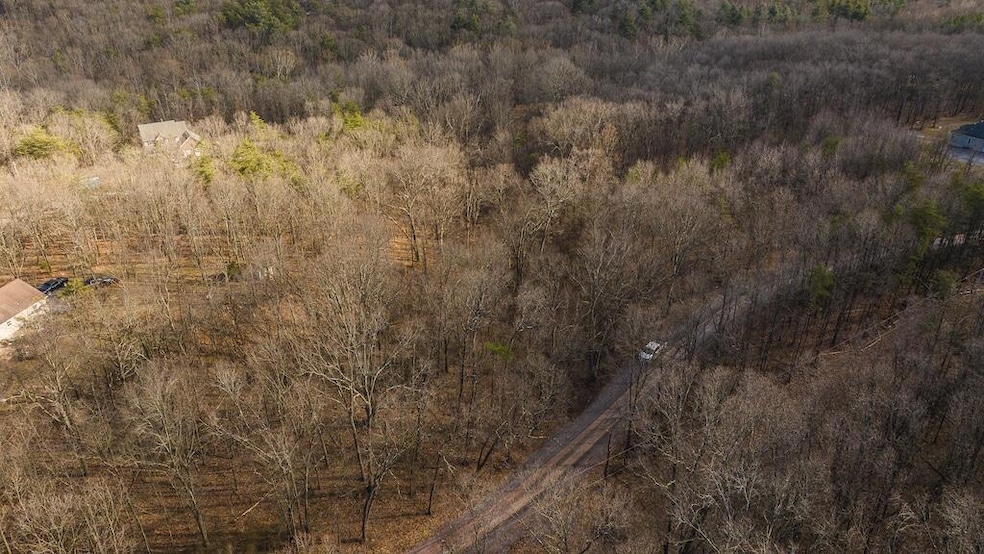 DJI_20250301150913_0394_D