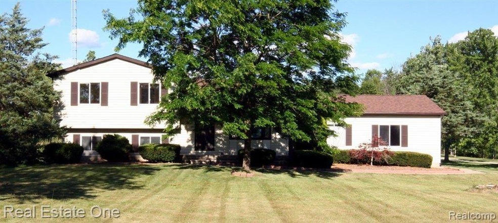Side View 1.jpg