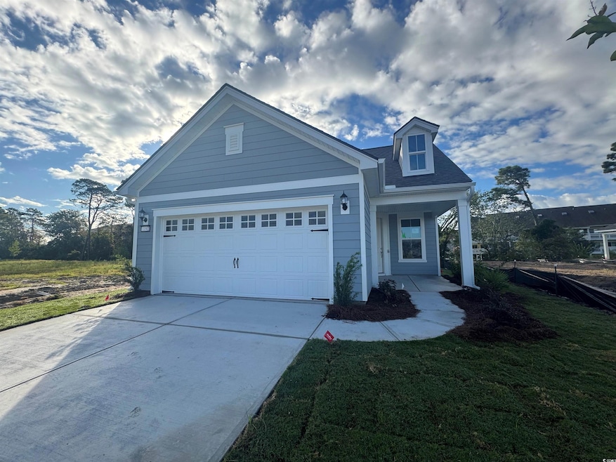 1181 Lady Bird Way unit (Phase 2 Lot 507), Atlantic Beach, SC 29582 - photo 1