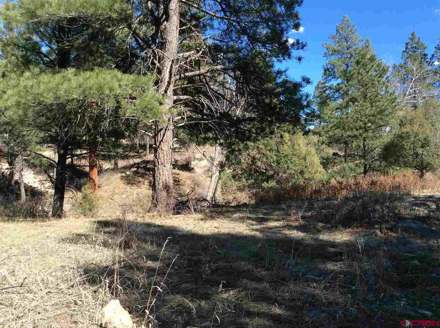 0 Aster Ln unit 729665, Durango, CO 81301 - photo 1