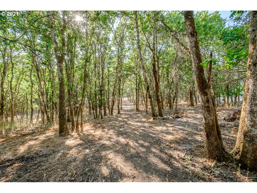 392 NE Kings Valley Hwy, Dallas, OR 97338 - photo 1