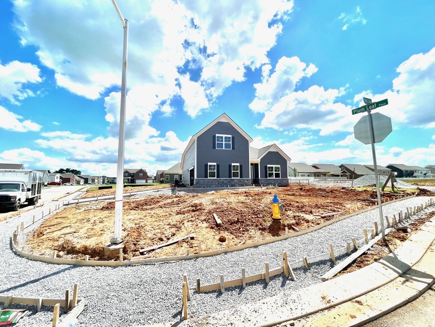 3534 Fig Drive (Lot 163), Murfreesboro, TN 37127 - photo 1