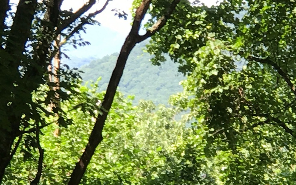 Main View