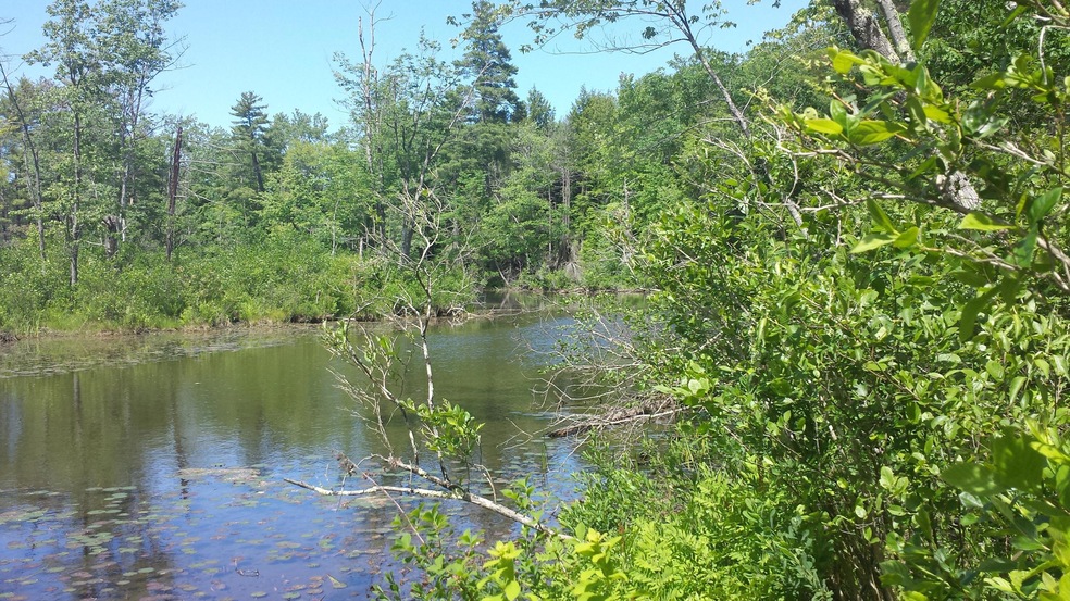 594 River Rd, Windham, ME 04062 - photo 1