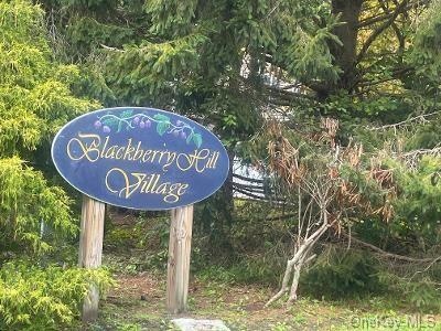 2702 Village Dr, Brewster, NY 10509 - photo 1