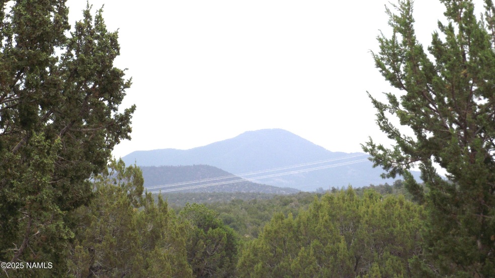 1641 Lara Ln, Williams, AZ 86046 - photo 1