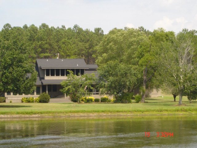 Main View