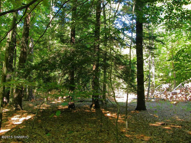 Picture 023