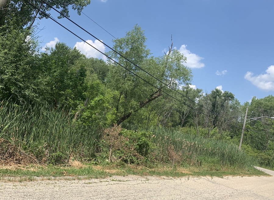 12765 W Sherman Ave, Waukegan, IL 60085 - photo 1