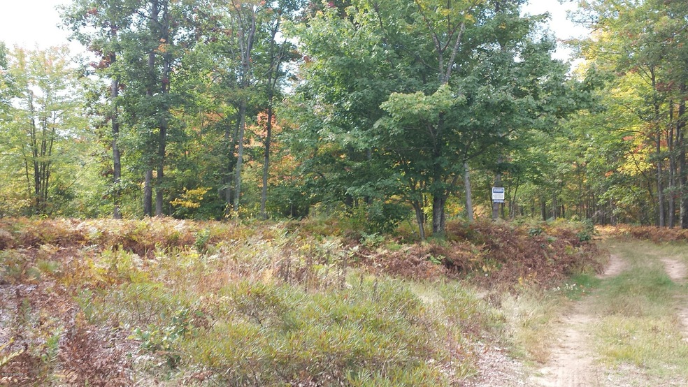 20140928_122458_resized