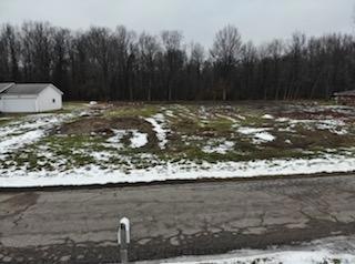 217 Sims Rd1