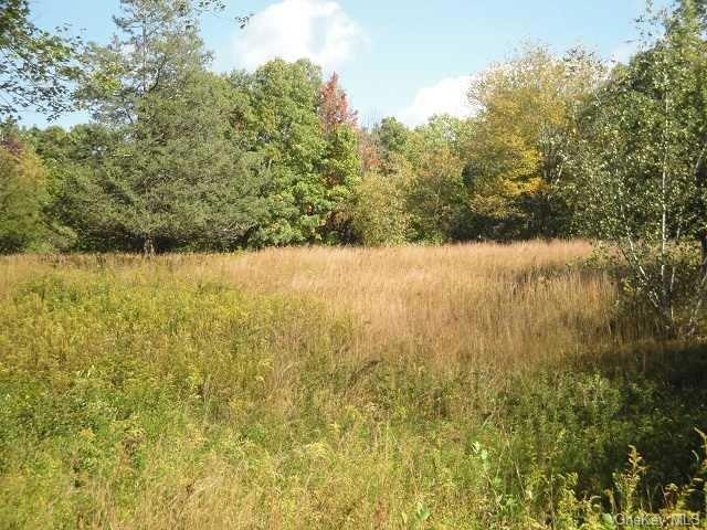 0 Willowbrook Rd unit 404161, Milan, NY 12514 - photo 1