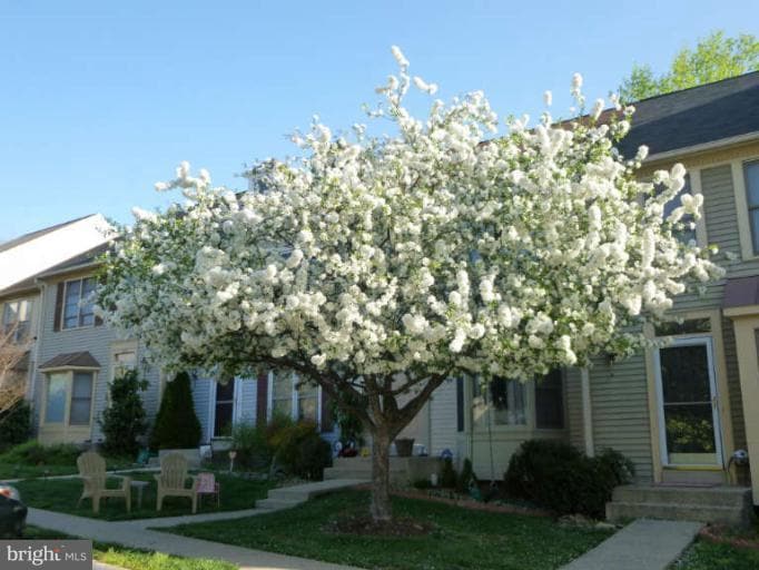 13960 Lightburn Ln, Centreville, VA 20121 - photo 1