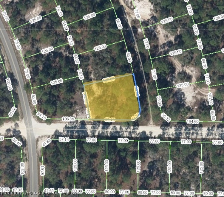 490 Blue Skies Dr, Lake Placid, FL 33852 - photo 1