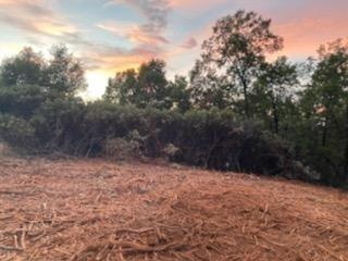 2238 Claim Ct, Placerville, CA 95667 - photo 1