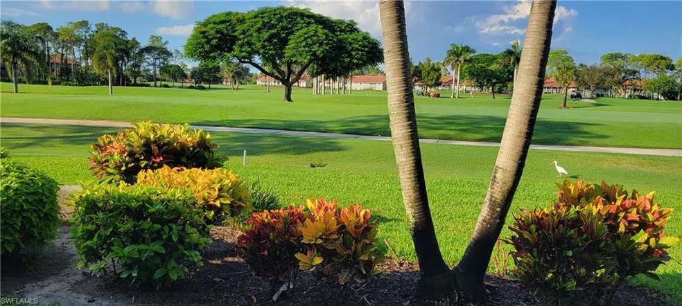 Sunny view of majestic royal  poinciana tree and g