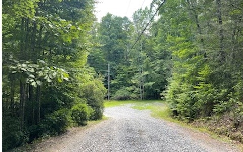 Main View