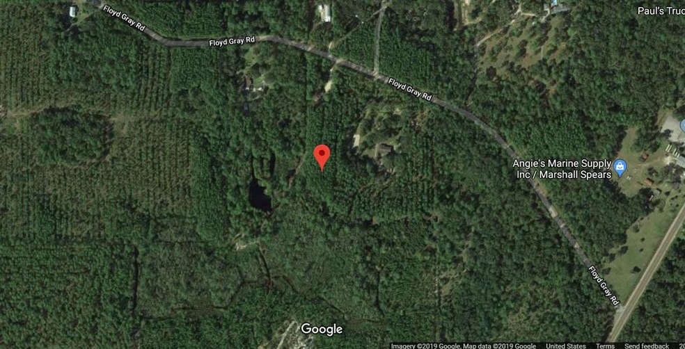0 Floyd Gray Rd, Crawfordville, FL 32327 - photo 1