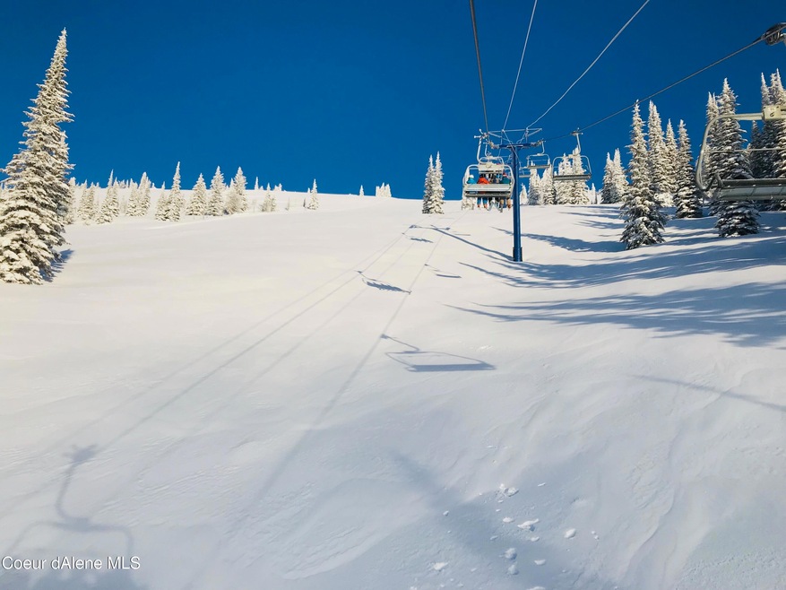 Perfect Powder