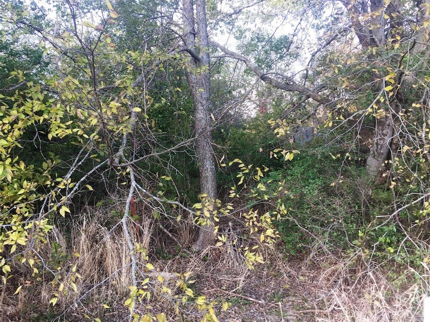 12+ AC White St, Bonham, TX 75418 - photo 1