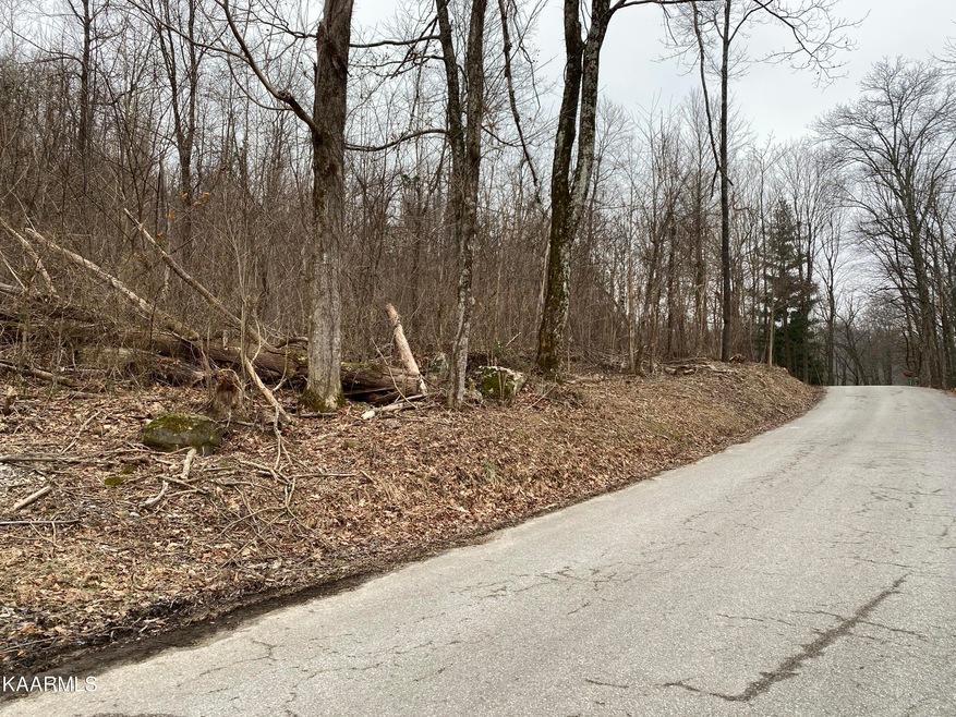 Above Walker Mountain Rd, Cookeville, TN 38506 - photo 1