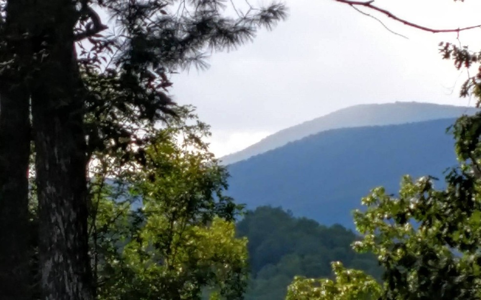 Main View