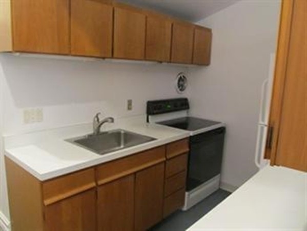 150 W Concord St unit 2, Boston, MA 02118 - photo 1