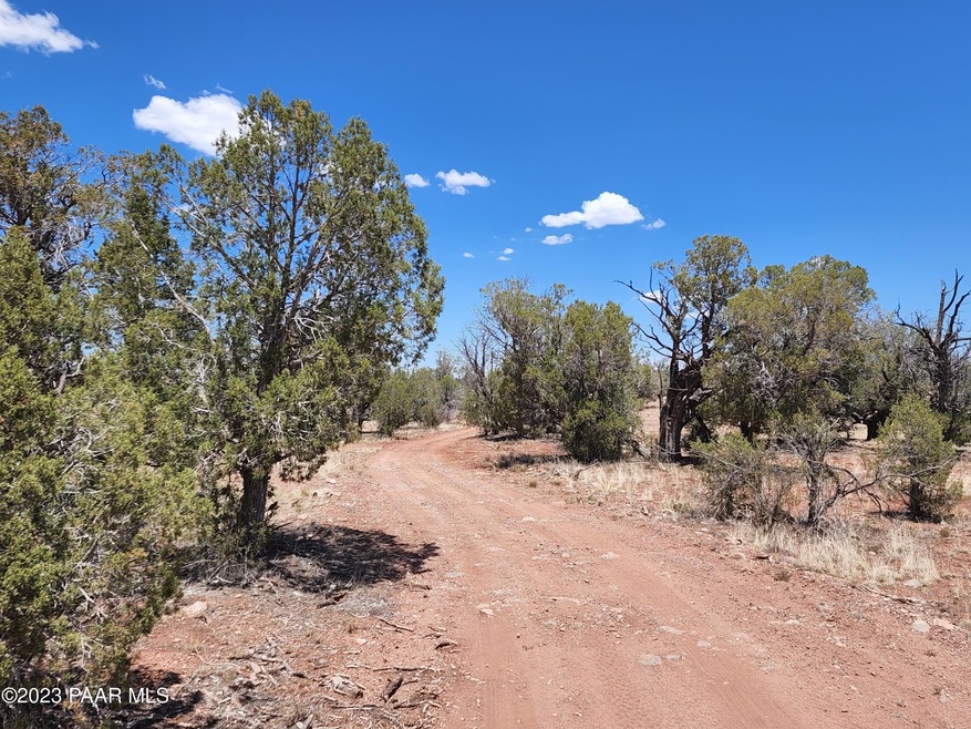 Lot 55 Juniperwood Ranch, Ash Fork, AZ 86320 - photo 1
