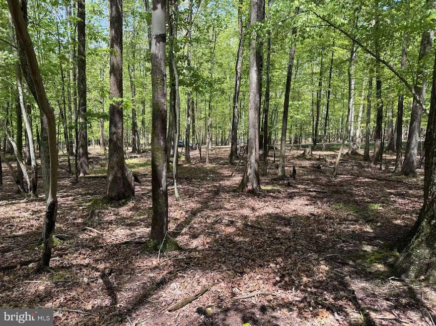 For Sale $29,900 • Co-Listing Agent