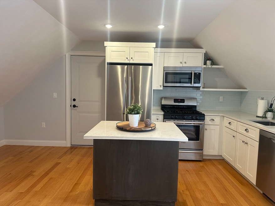 25 Chilcott Place unit 3, Jamaica Plain, MA 02130 - photo 1