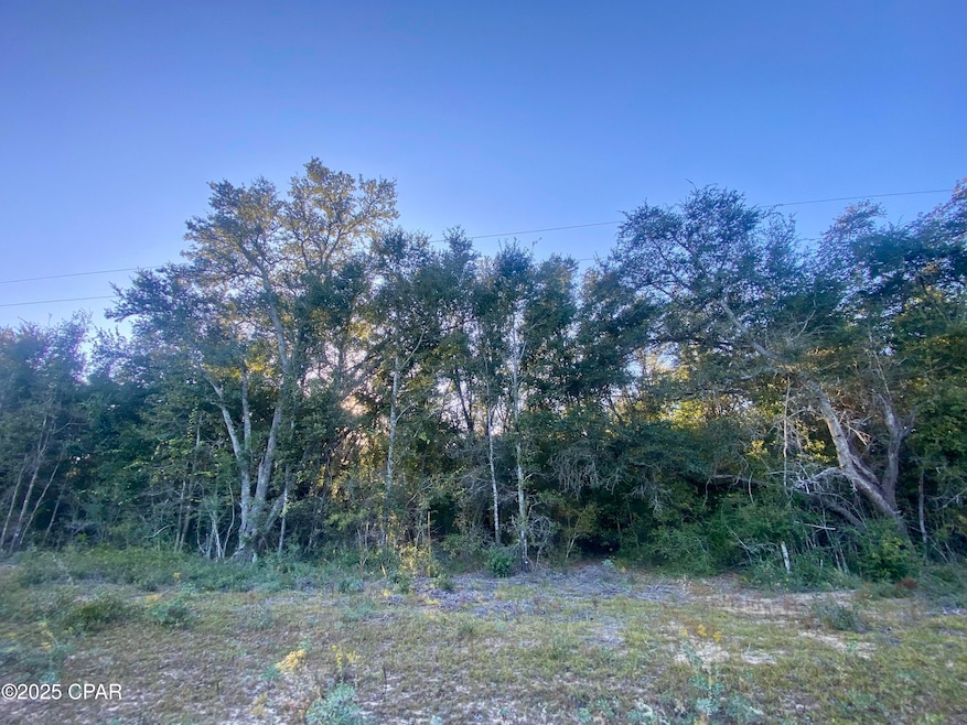 Lot 2 Coronado Ave, Alford, FL 32420 - photo 1