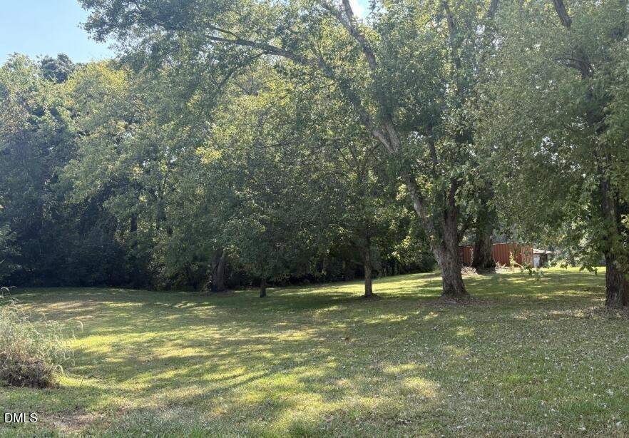 Tbd Winfred Brady Rd, Bennett, NC 27208 - photo 1