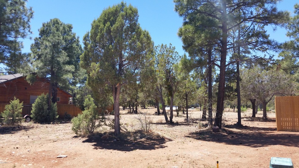 620 S Jogin Ln unit 37, Show Low, AZ 85901 - photo 1