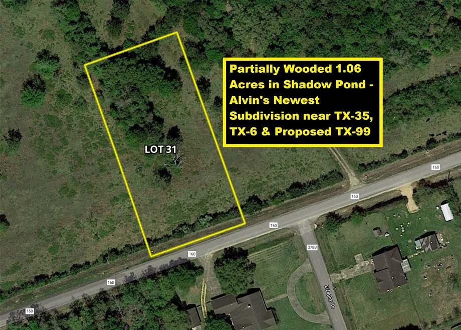 2808 County Road 160 Lot 31, Alvin, TX 77511 - photo 1