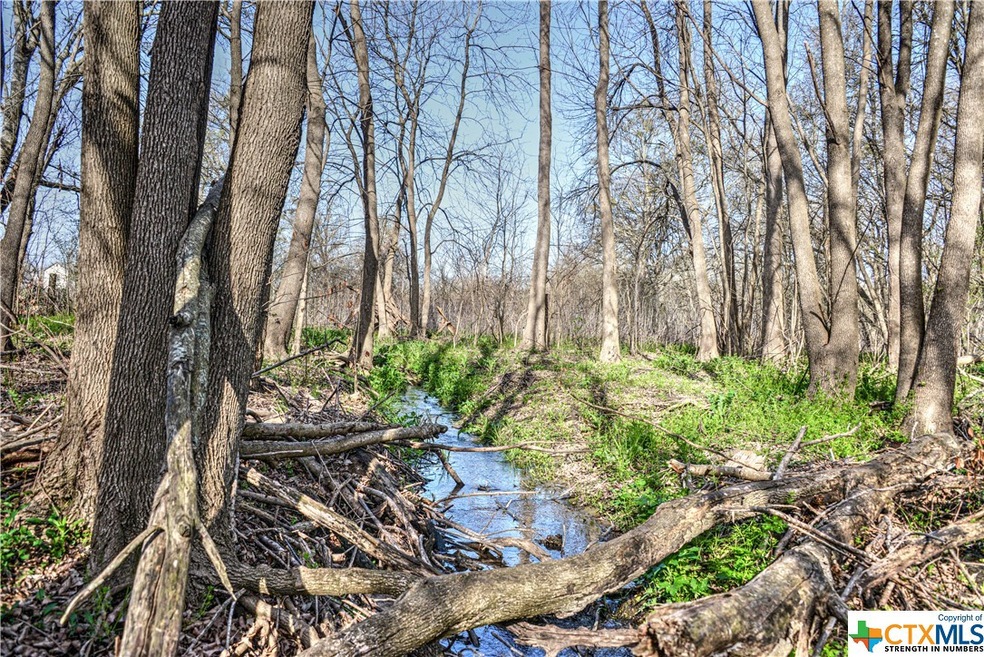 TBD Goates Rd, Other, TX 76579 - photo 1