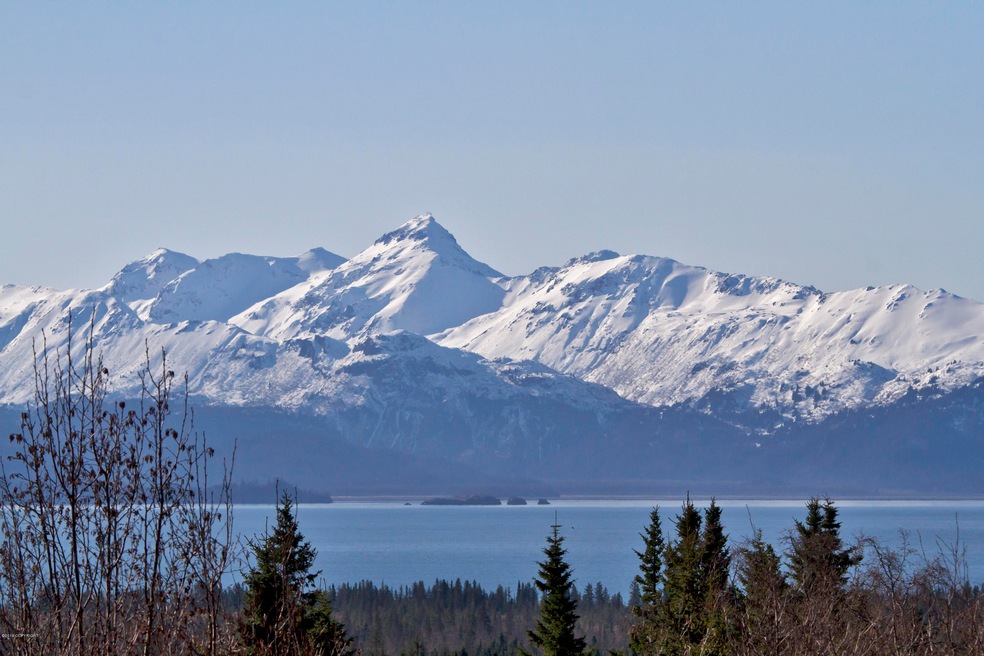 000 E End Road Homer AK 99603