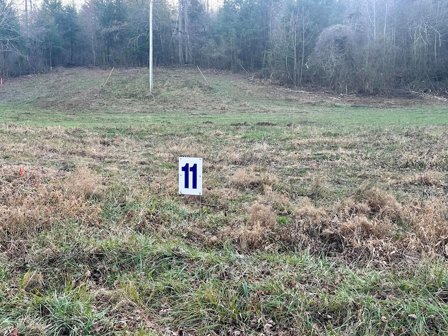 Lot 11 Hensley Rd, East Bernstadt, KY 40729 - photo 1