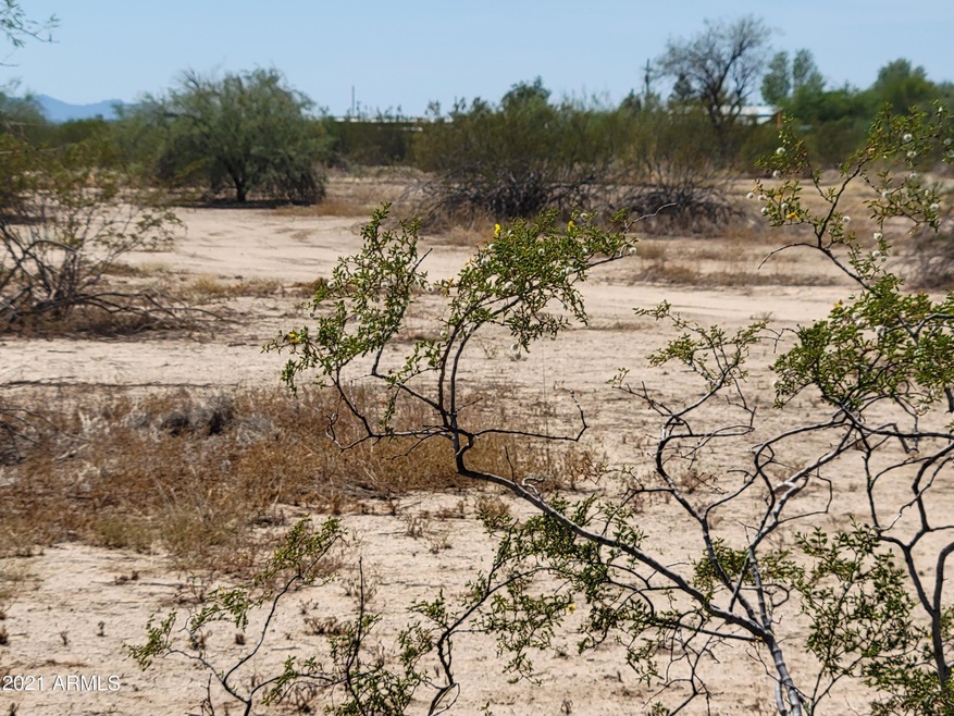 Land Photo 1