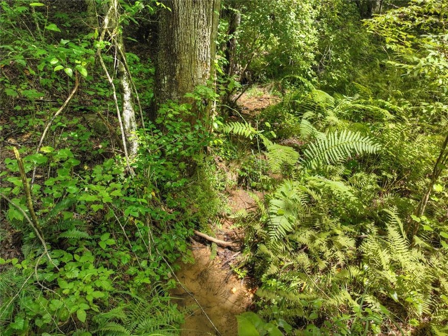 Small creek runs across the property