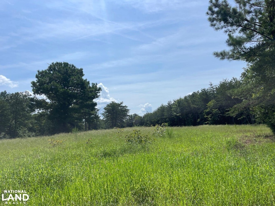 0 Turner Rd unit 21139205, Tuscaloosa, AL 35406 - photo 1