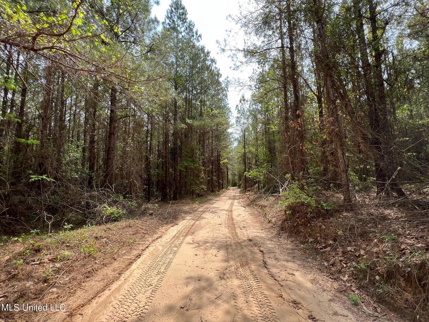 Road