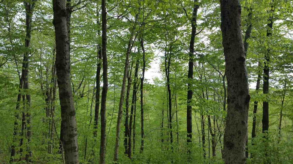 Lot 0 Howe Pond Rd, Readsboro, VT 05350 - photo 1