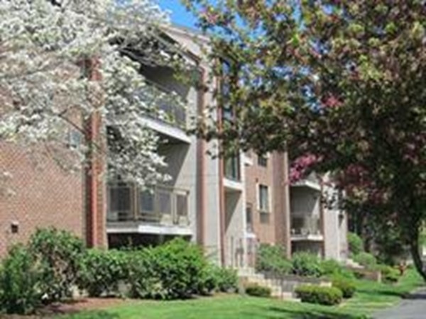 2344 Commonwealth Ave unit 3-1, Auburndale, MA 02466 - photo 1